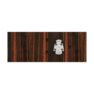 Monitor Audio Gold C250 6G