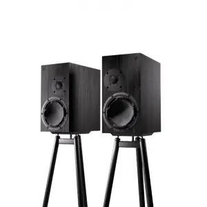 OePhi Transcendence 2