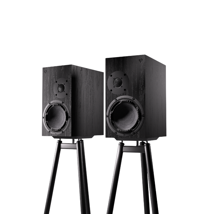 OePhi Transcendence 2