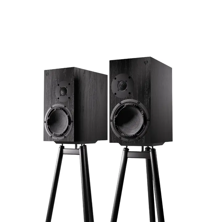 OePhi Transcendence 2