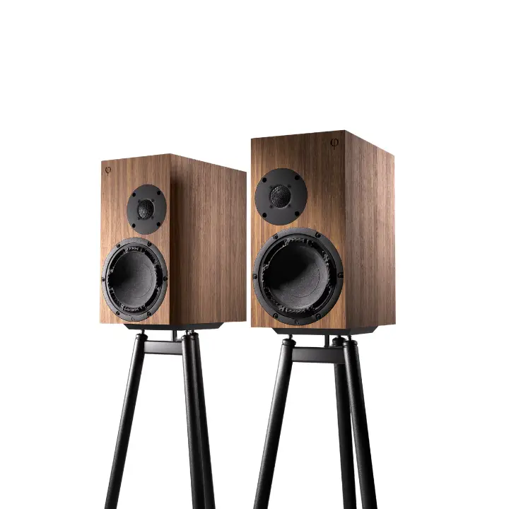 OePhi Transcendence 2